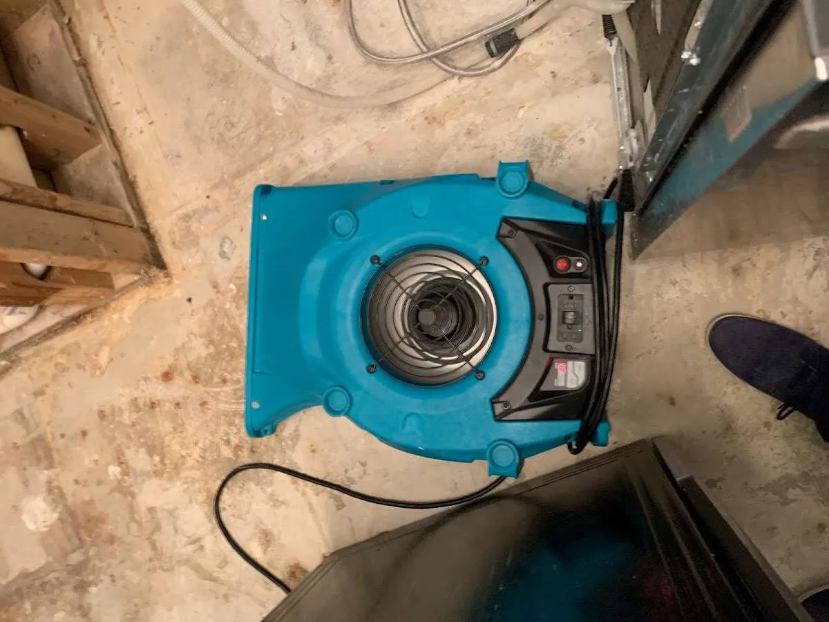 Air mover drying equipment for Mold Remediation & Removal in Gladstone